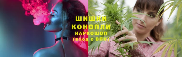 прущие крисы Алзамай